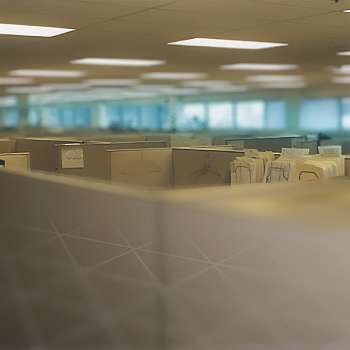 For the Love of Cubicles